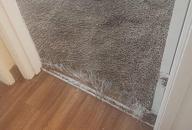 carpet-repair-service