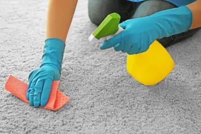 Carpet deodorization and odour removal