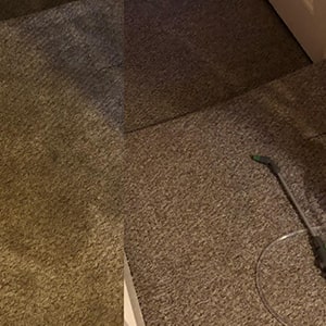 carpet-seam-repair